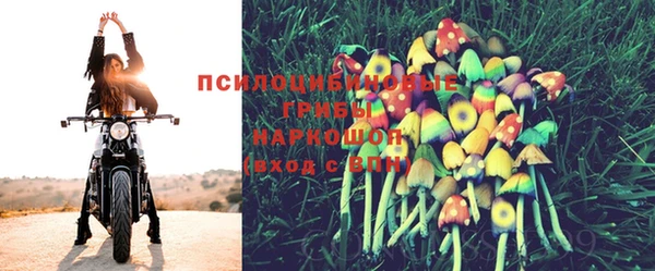спайс Балабаново